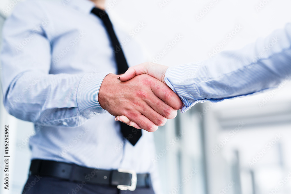 Fototapeta premium Young colleagues shake hands after a successful job