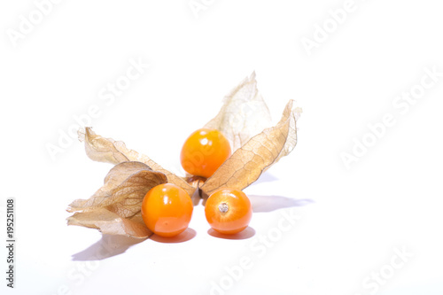 Physalis Solanaceae earthen cranberry bubble Physalis vegetable Physalis strawberry medicinal plant analgesic diuretic cholagogue antiseptic hemostatic healing from diabetes mellitus epilepsy anemia photo