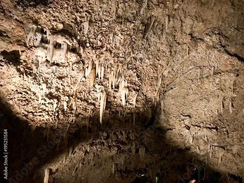 Stalactites and stalagmites on the Caribbean island of Barbados	