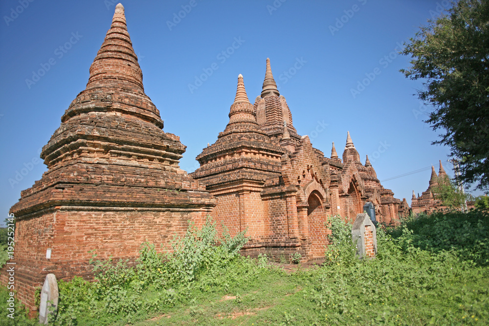 Red brick pagodas grow out of the verdant weeds and plants in Bagan, Burma
