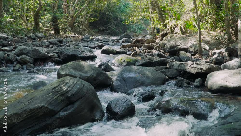 Jungle landscape with flowing river at deep tropical rain forest. Khao Yai National Park, Thailand. Stock footage shot at winter season time. Jungle landscape with flowing river at deep tropical rain forest. Khao Yai National Park, Thailand. Stock footage shot at winter season time.
