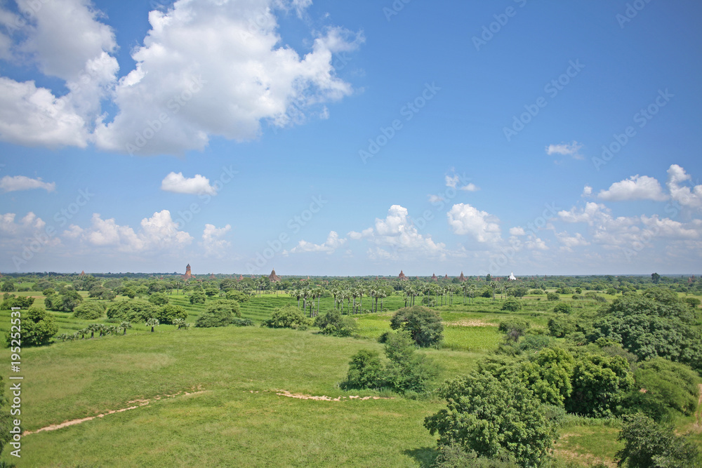 Green fields and trees as seen on the Bagan temple plains in Burma