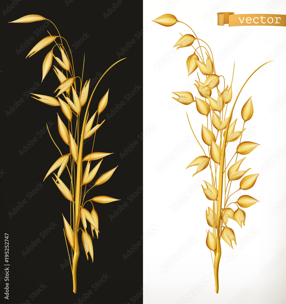 Oat. 3d realistic vector icon