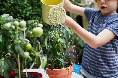 Child watering the plants
