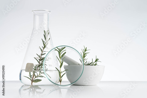 laboratory and research with alternative herb medicine