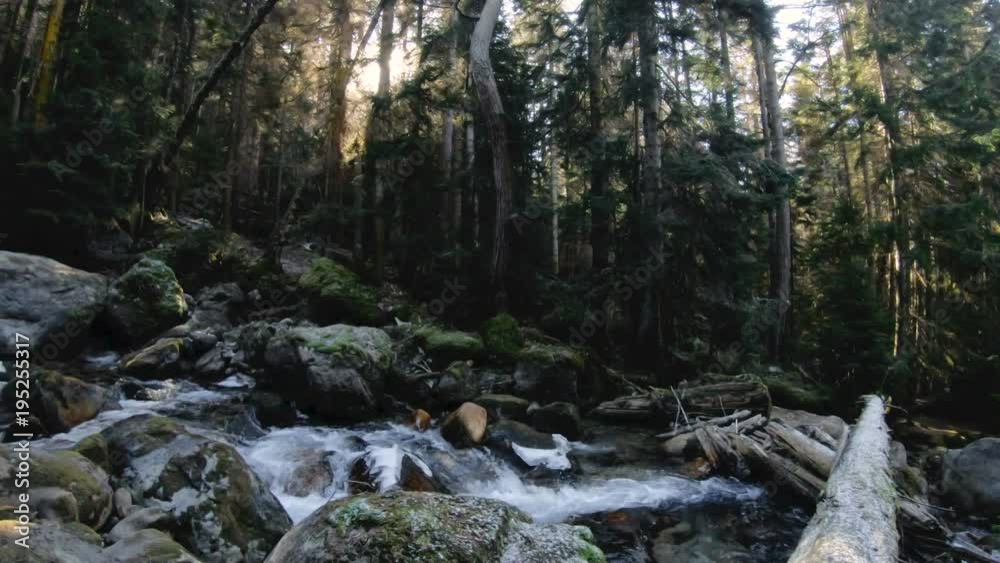 The nature of the coniferous forest. Panorama Mountain river flowing in a coniferous forest. Rotating gaze up on trees and sky. Low key 60 FPS slow motion. GoPro 6 Black with a three-axis The nature of the coniferous forest. Panorama Mountain river flowing in a coniferous forest. Rotating gaze up on trees and sky. Low key 60 FPS slow motion. GoPro 6 Black with a three-axis