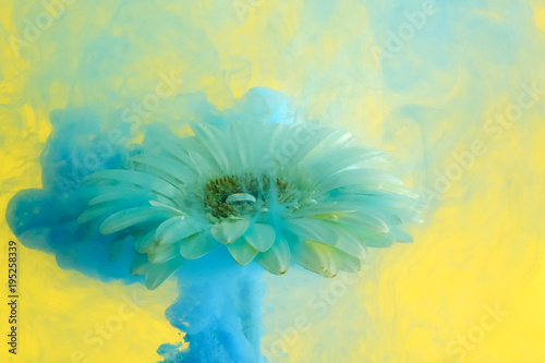 flower in the water with co...