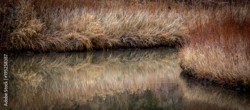 Delores River in Colorado photo