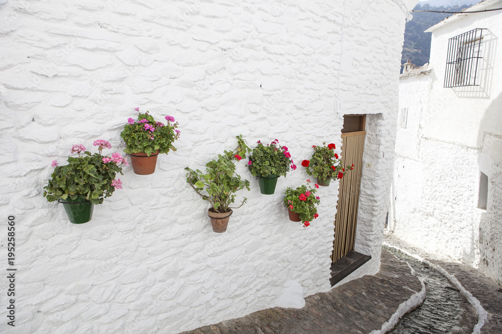 Quiet pretty street with water channel and flowerpots in the wall, Alpujarras
