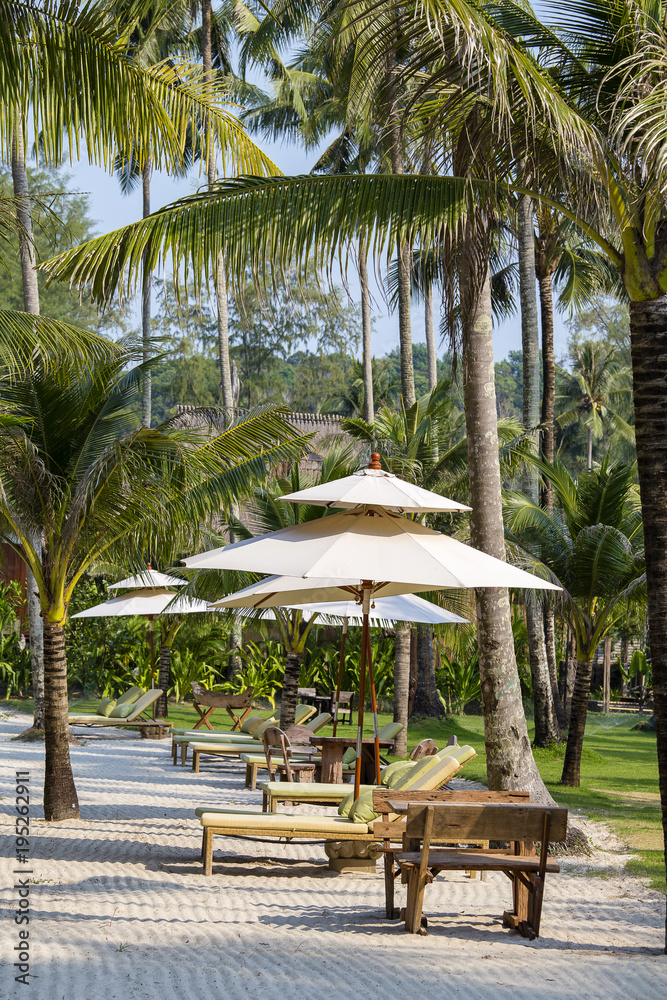 Fototapeta premium Sunbeds are on the beach and palm trees, Thailand