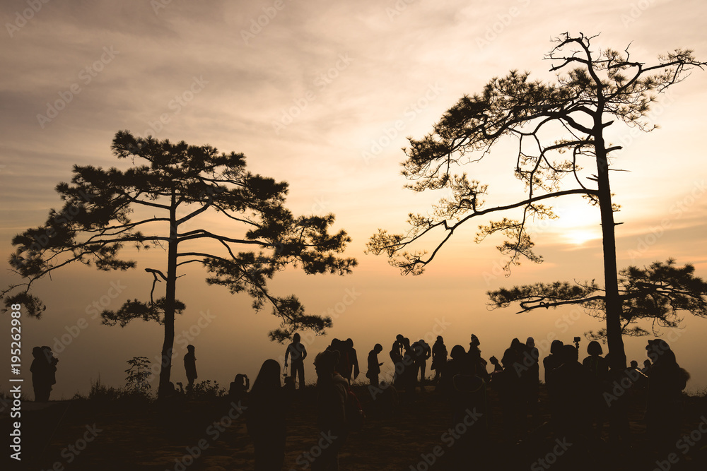 Black silhouette, trees and people, sunrise background
