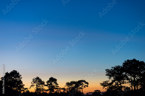 The sunrise on Phu Kradueng National Park, Thailand © fortyfour