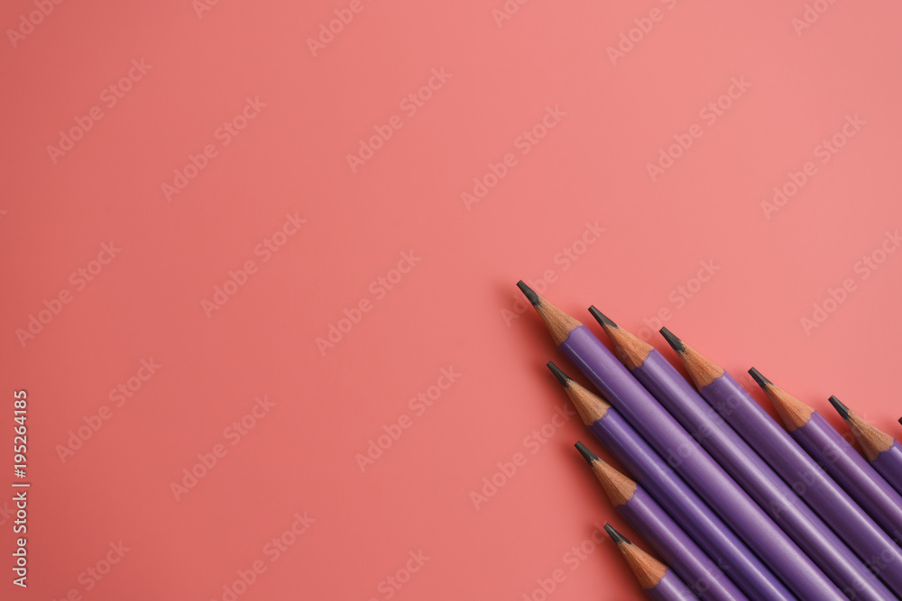 purple pencils on pink background with copy space. Back to school and Education Concept. purple pencils on pink background with copy space. Back to school and Education Concept.