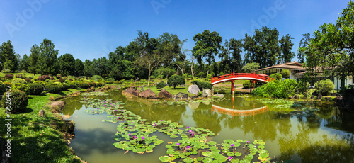 Japanese garden with red bridge and the pond photo