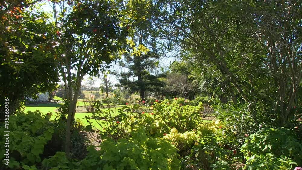 A dolly shot from behind trees and plants. A dolly shot from behind trees and plants.
