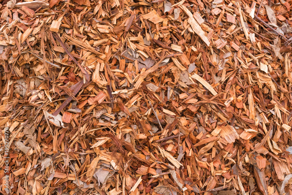 Full frame view of wood chip mulch Full frame view of wood chip mulch
