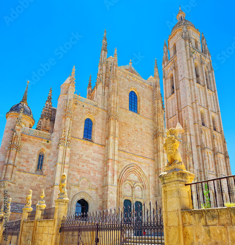 Landscape of the cathedral of Segovia.