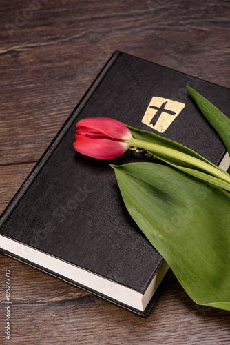 Bible with red tulip easter concept photo