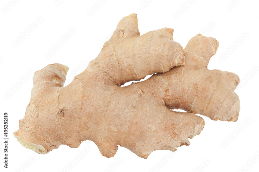 Ginger spice root on white Ginger spice root on white