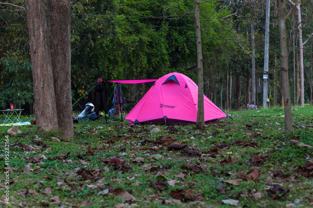 day relax erect a tent in press forest is based on the nature