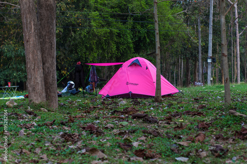 day relax erect a tent in press forest is based on the nature
