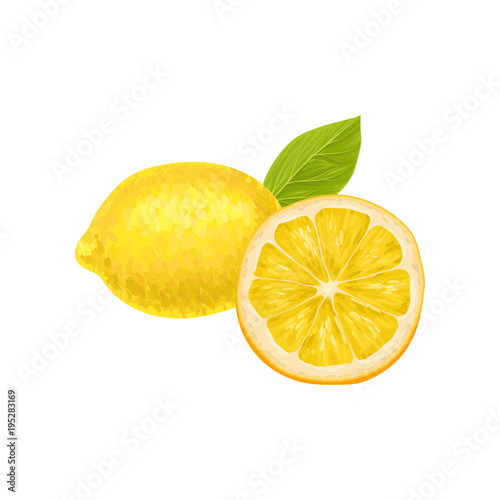 Composition with whole and half of ripe lemon, green leaf. Bright yellow citrus fruit. Natural and healthy product. Organic nutrition. Detailed vector illustration