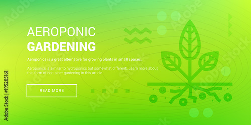 Hi-tech Aeroponic Gardening