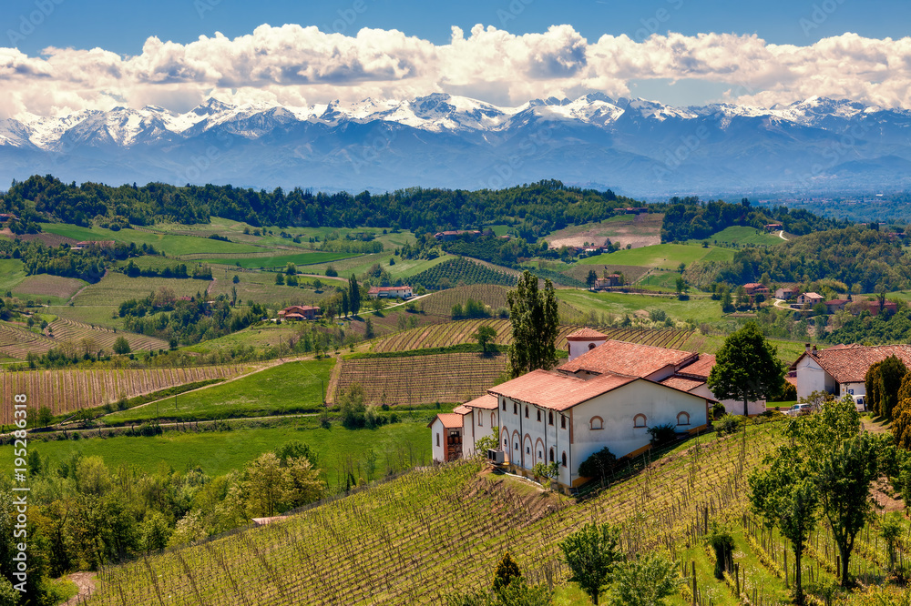 Rural houses on the hill overlooking vineyards in Italy.