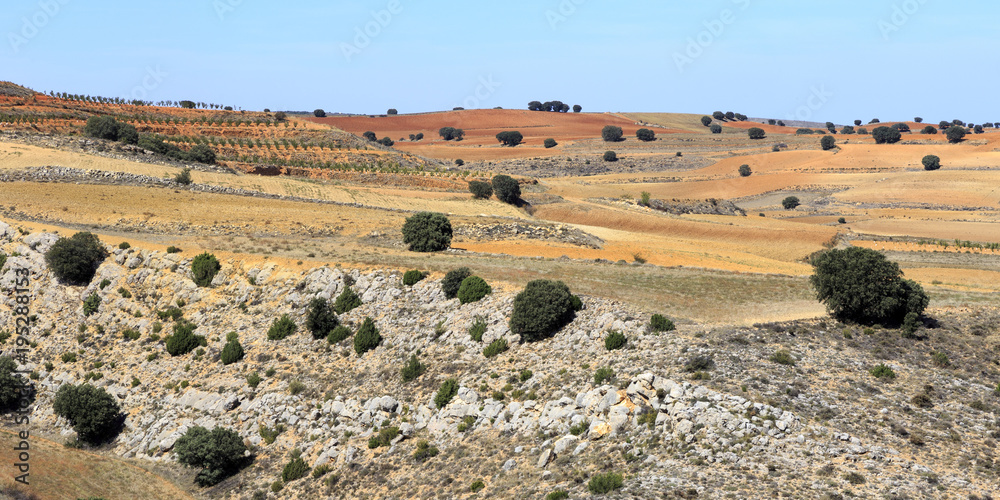 Fototapeta premium Colored landscape in Serrania de Cuenca mountain in Spain