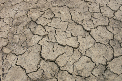 Dry cracks in dried out soil