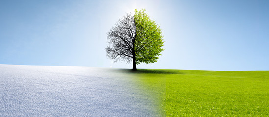 Winter Sommer