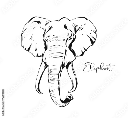 Hand drawn vector abstract artistic ink textured graphic sketch drawing illustration of wildlife indian elephant head isolated on white background