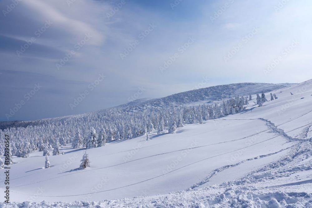 Snow Monsters of Mt.Zao in Yamagata, Japan