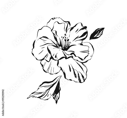 Hand drawn vector abstract artistic ink textured graphic sketch drawing illustration of hibiscus plant flower with leaves isolated on white background