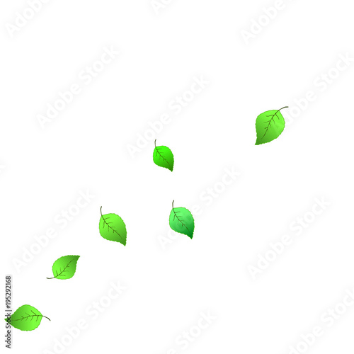 Cute  Pattern with Leaves for Greeting Card or Poster. Vector Background for Spring or Summer Design.