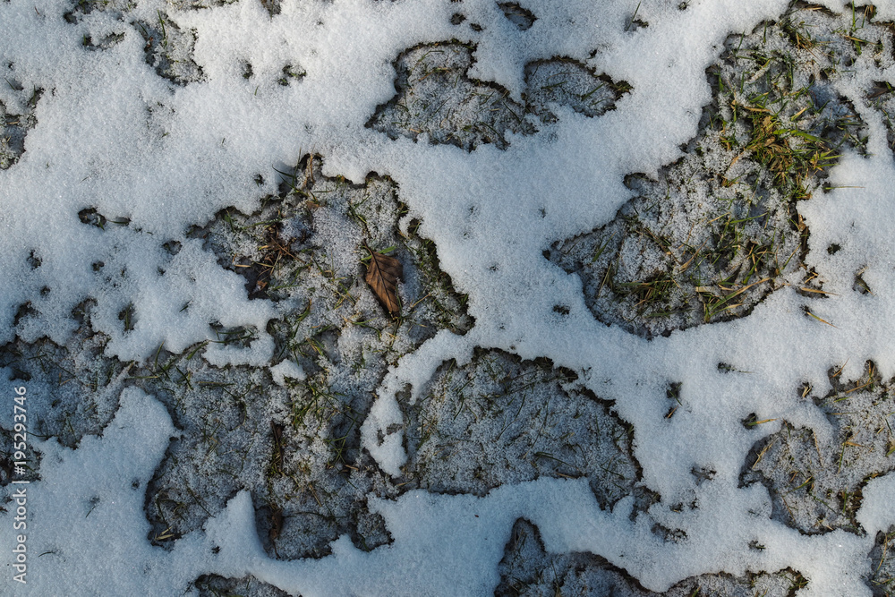 Fototapeta premium Schneeflecken auf einer Wiese