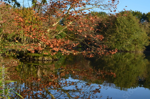 Lac des Carolin Lons 64 photo