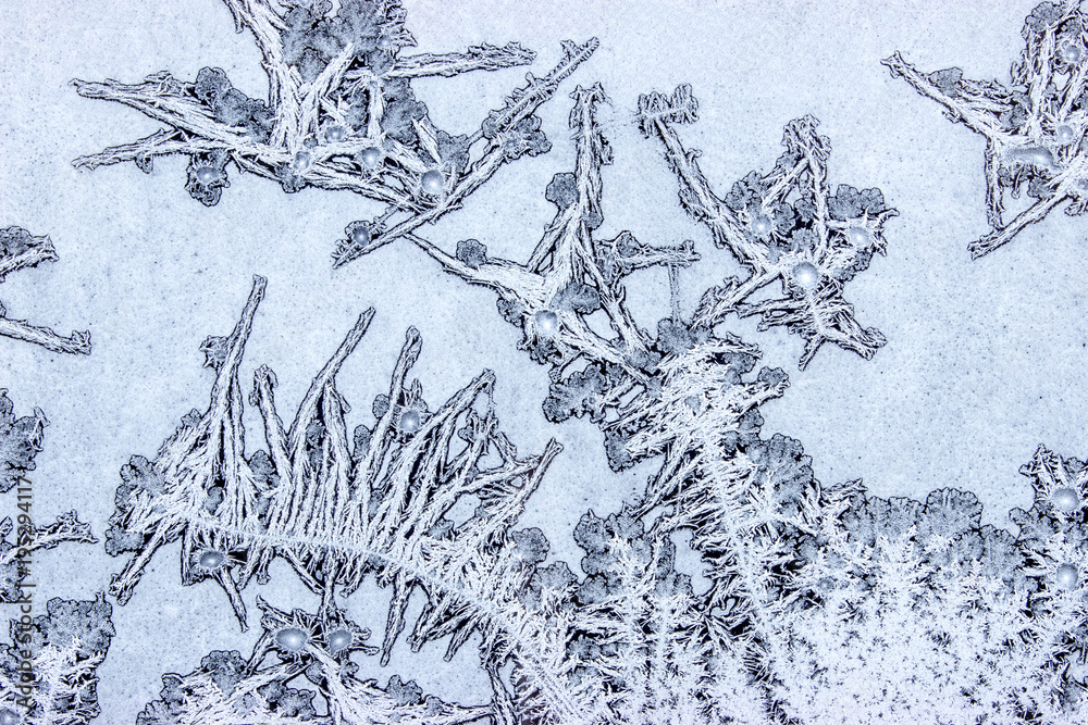 Obraz premium Ornaments on a frozen window like human figures