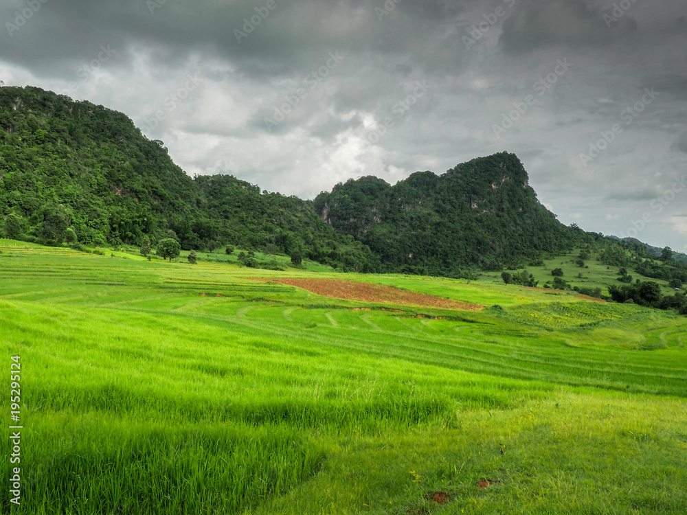 Lanscape Myanmar, agriculture