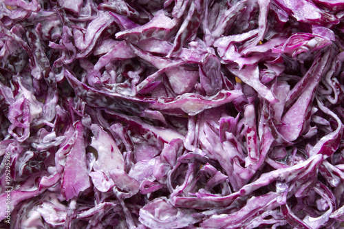 blue cabbage texture