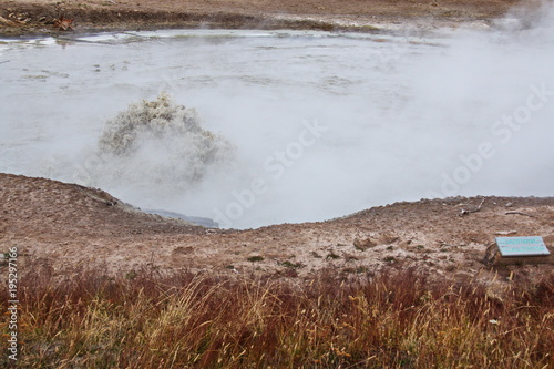 Churning Caldron in Mud Volcano Area in Yellowstone National Park in Wyoming in the USA  