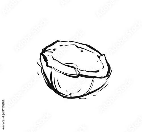 Hand drawn vector abstract exotic tropical ink graphic drawing fruit coconut illustration isolated on white background.Healthy lifestyle concept