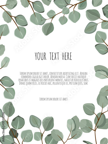 Vector floral card design Eucalyptus silver dollar greenery, foliage natural branch leaf frame in watercolor style.