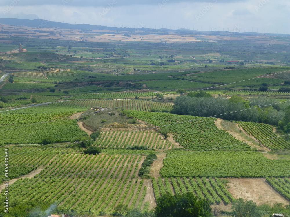 Laguardia, localidad de Álava (Pais Vasco, España) cercana a Vitoria enclavada en la comarca de la Rioja Alavesa