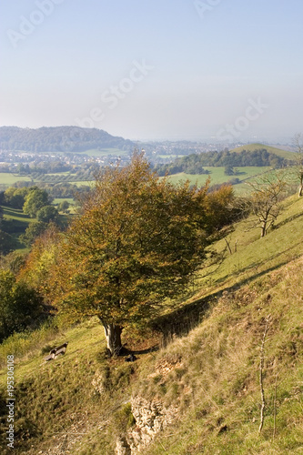 England, Cotswolds, Gloucestershire, Uley Bury, autumn colour view from hilltop photo