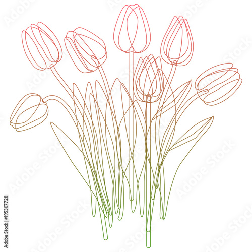 Vector illustration with flower pot and tulip