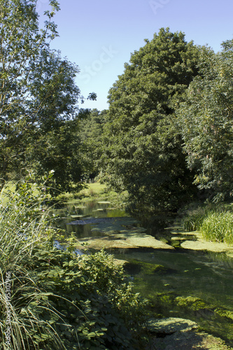 Ampney Brook in summer sunshine, an idyllic stream in The Cotswolds near Cirencester, Gloucestershire photo