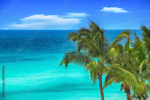 Tropical palm trees on a background of a panorama of a beautiful ocean and blue sky in summer.