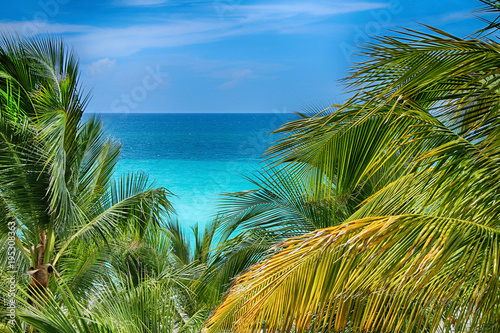 Tropical palm trees on a background of a panorama of a beautiful ocean and blue sky in summer. © blackguitar1