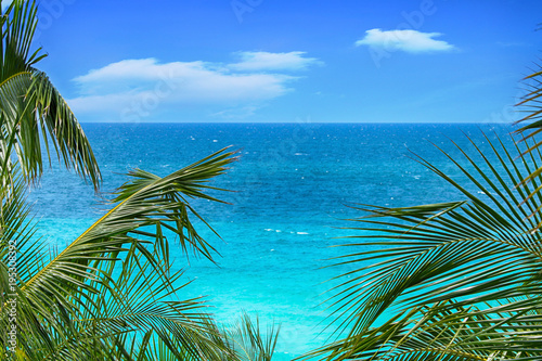 Fototapeta Naklejka Na Ścianę i Meble -  Tropical palm trees on a background of a panorama of a beautiful ocean and blue sky in summer.